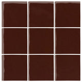 Malibu Field Dark Roast 476C Ceramic Tile - Avente Tile