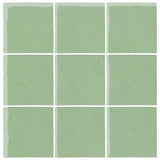 Malibu Field Peppermint Ceramic Tile - Avente Tile