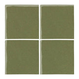 Malibu Field Spanish Moss 5615C Ceramic Tile - Avente Tile