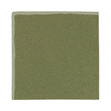 Malibu Field Spanish Moss 5615C Ceramic Tile - Avente Tile