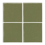 Malibu Field Spanish Moss 5615C Ceramic Tile - Avente Tile