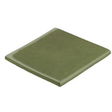 Malibu Field Surface Bullnose 6" x 6" - Avente Tile