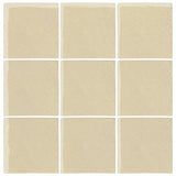 Malibu Field Tapioca 7499C Ceramic Tile - Avente Tile
