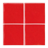 Malibu Field Tomato 7619C Ceramic Tile - Avente Tile