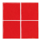 Malibu Field Tomato 7619C Ceramic Tile - Avente Tile