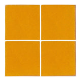 Malibu Field Valencia Orange Matte 129U Ceramic Tile - Avente Tile
