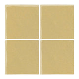 Malibu Field Vanilla Pudding 0131C Ceramic Tile - Avente Tile