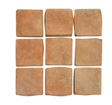 Rustic Cafe Olay 2x2 Cement Tile