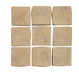 Rustic Hacienda 2x2 Cement Tile 