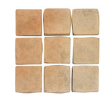 Rustic Hacienda Flash 2x2 Cement Tile 
