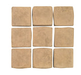 Rustic Old California 2x2 Cement Tile 