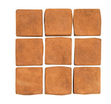 Rustic Saltillo Cafe 2x2 Cement Tile 