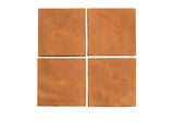Rustic Saltillo Cafe 6x6 Cement Tile 